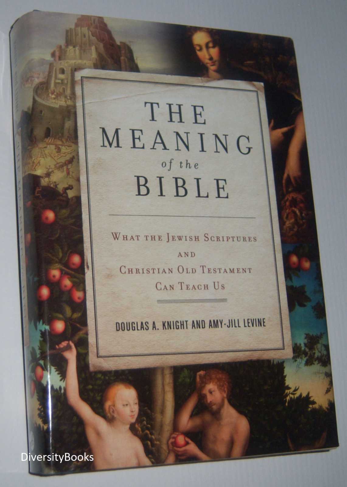 Image for THE MEANING OF THE BIBLE: What the Jewish Scriptures and Christian Old Testament Can Teach Us