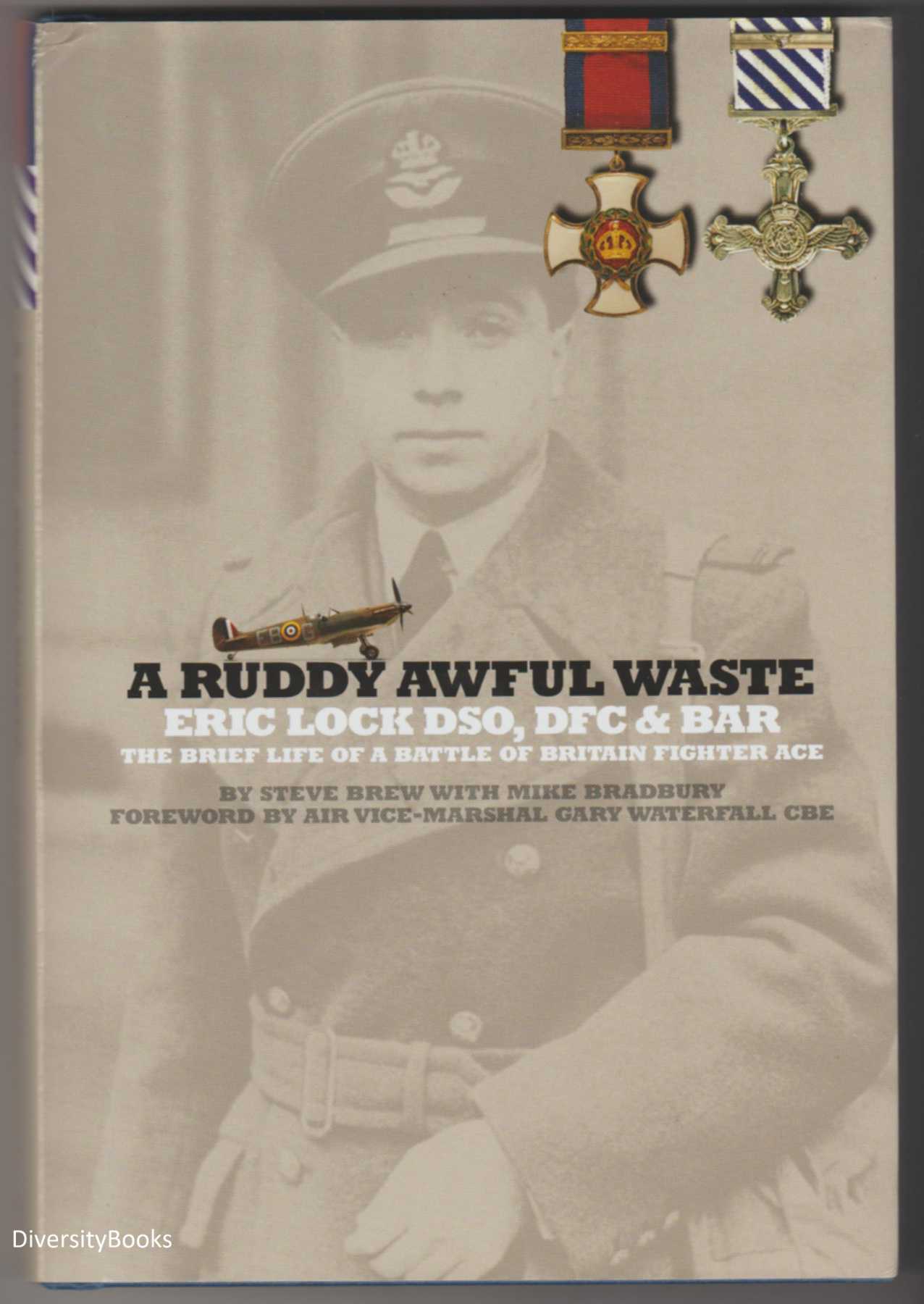 Image for A RUDDY AWFUL WASTE: Eric Lock DSO, DFC and BAR. The Brief Life of a Battle of Britain Fighter Ace