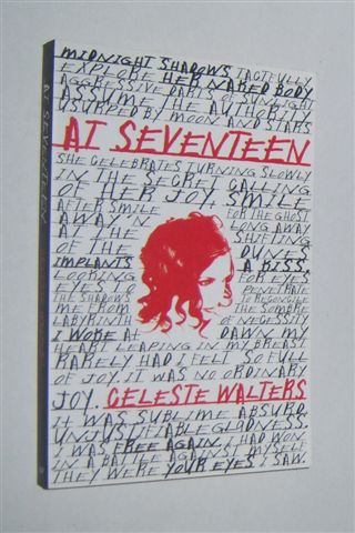 Image for AT SEVENTEEN