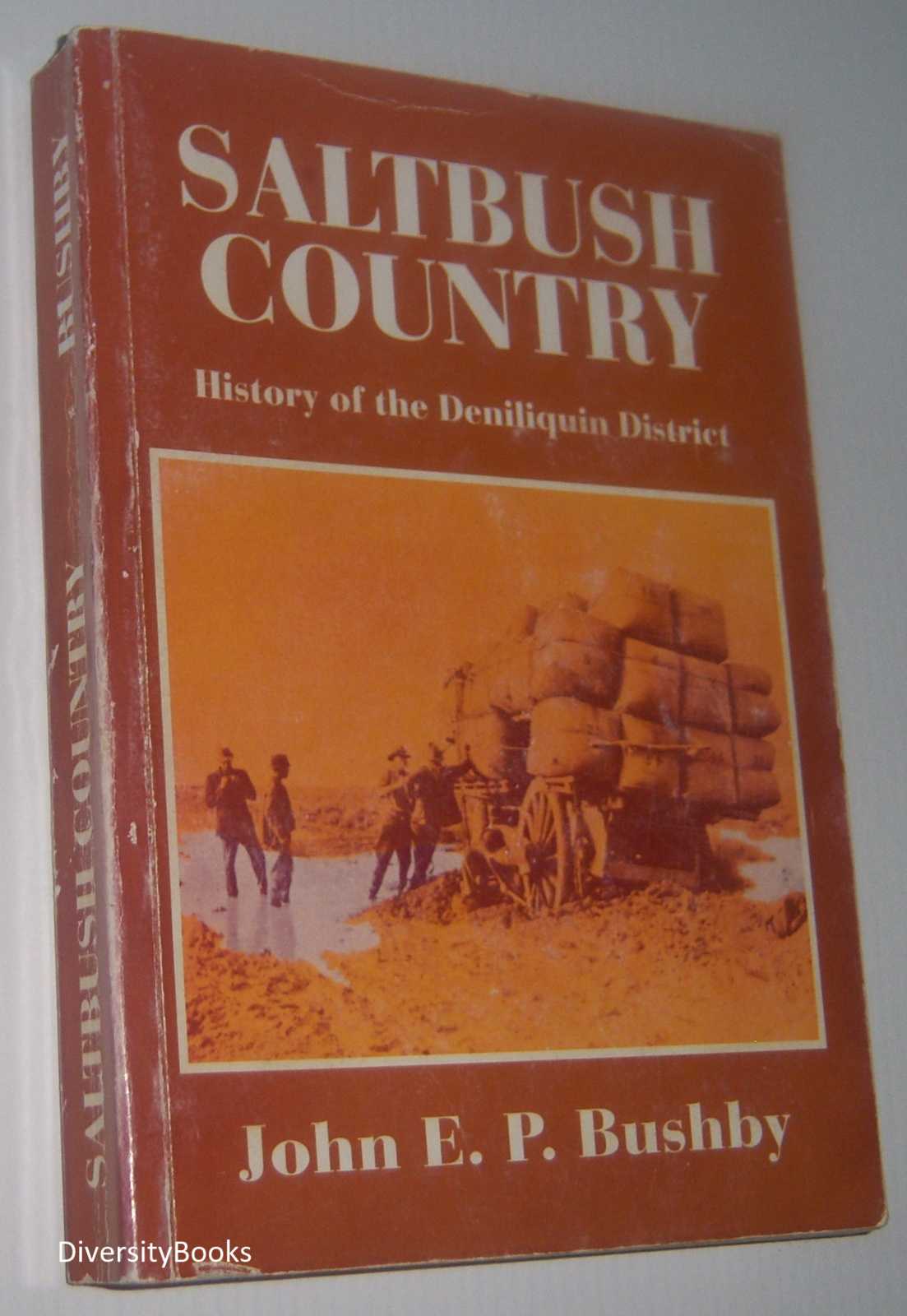 Image for SALTBUSH COUNTRY : History of the Deniliquin District