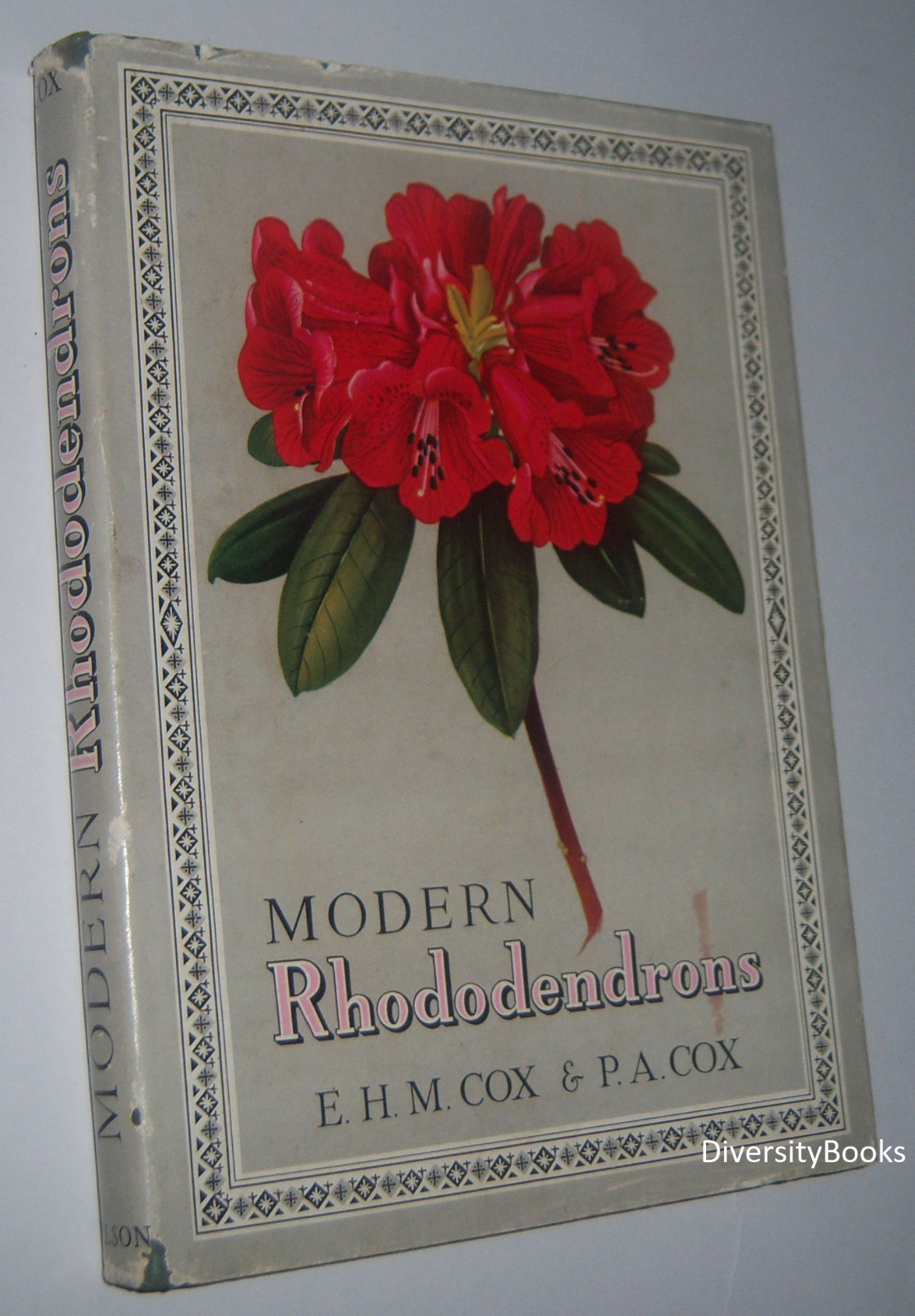 Image for MODERN RHODODENDRONS