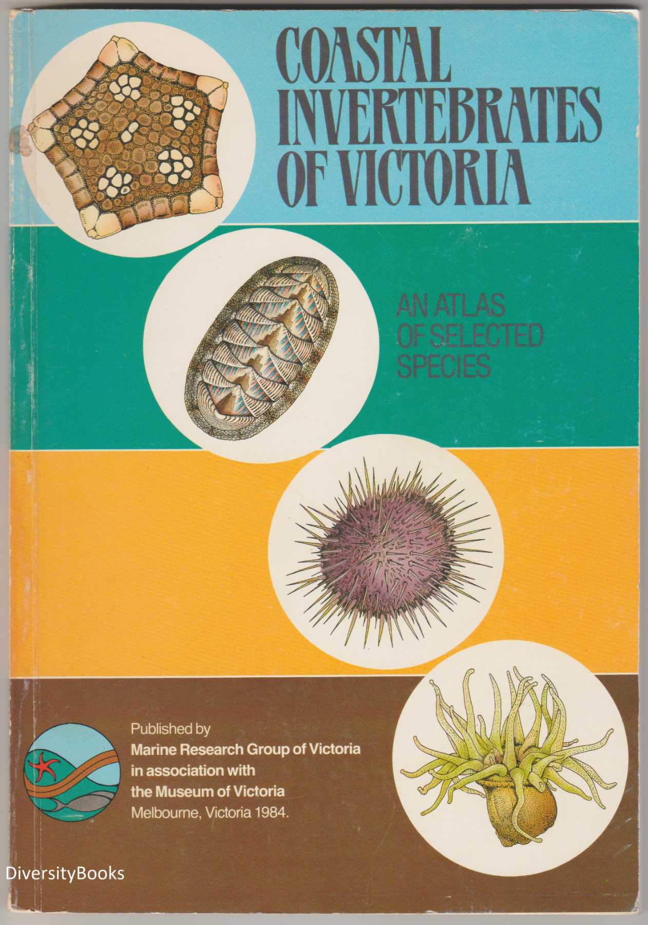 Image for COASTAL INVERTEBRATES OF VICTORIA: An Atlas of Selected Species