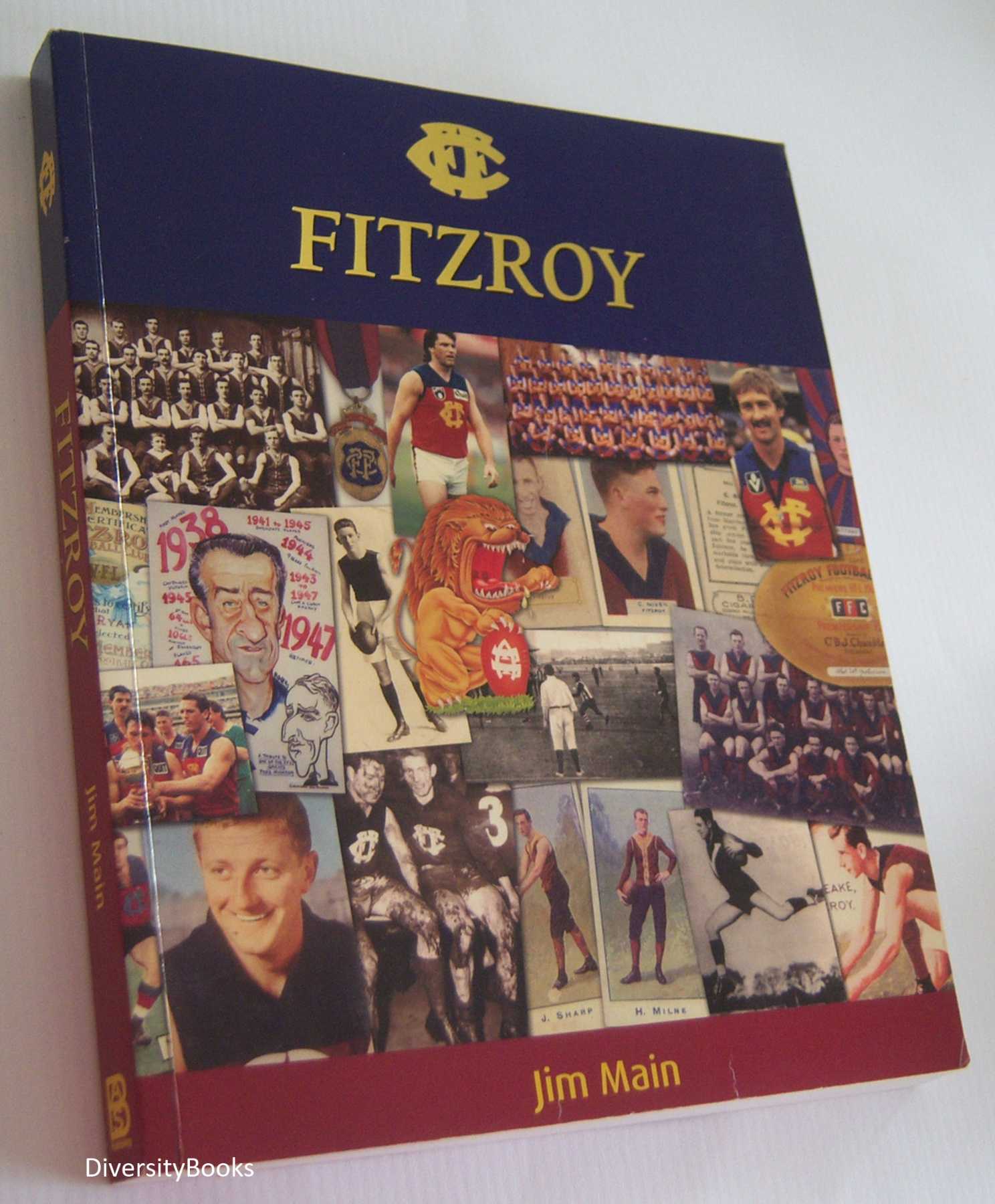 Image for FITZROY: Merging Into the Future. The History of the Fitzroy Football Club, Incorpating the Brisbane Bears And the Brisbane Lions