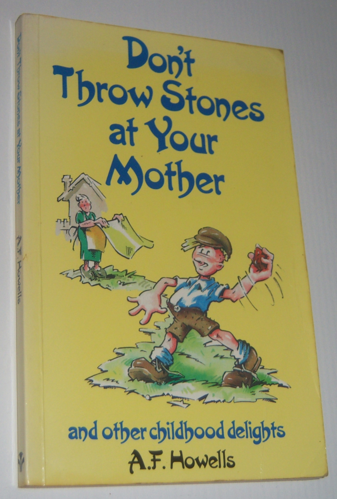Image for DON'T THROW STONES AT YOUR MOTHER and Other Childhood Delights
