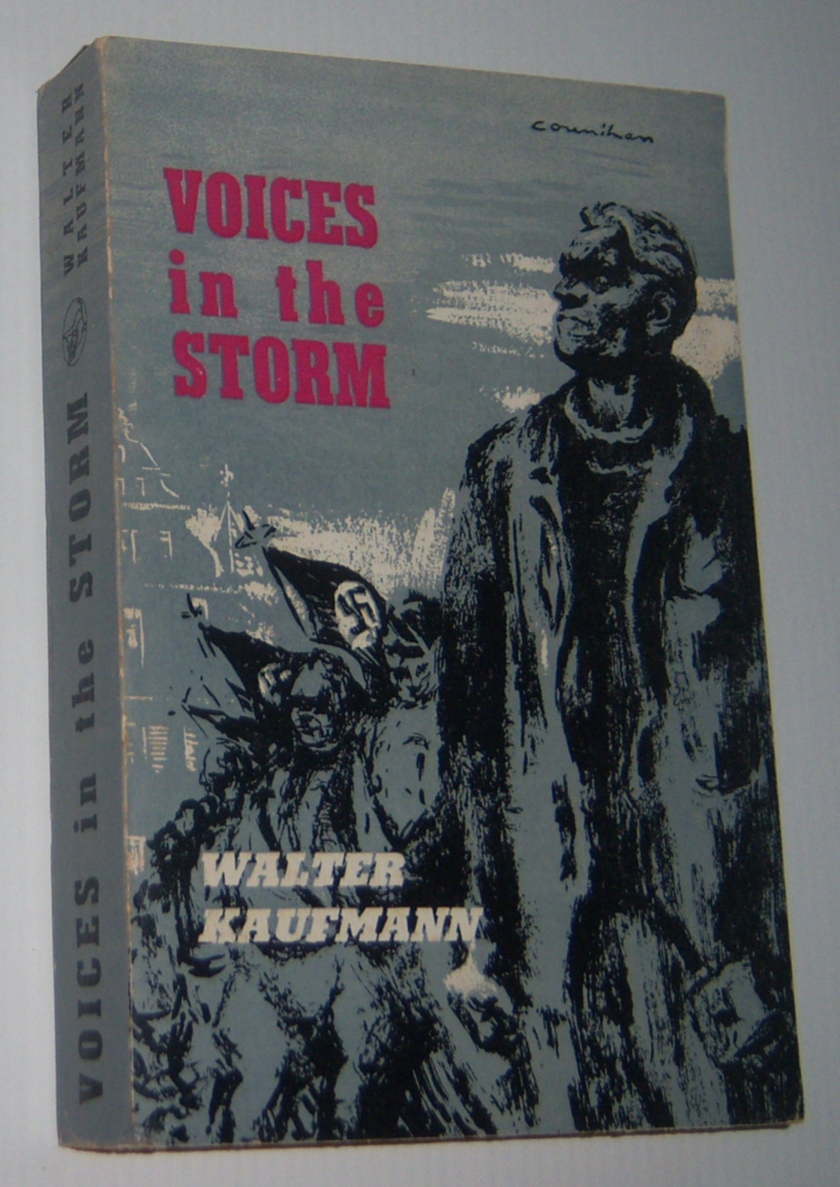 Image for VOICES IN THE STORM