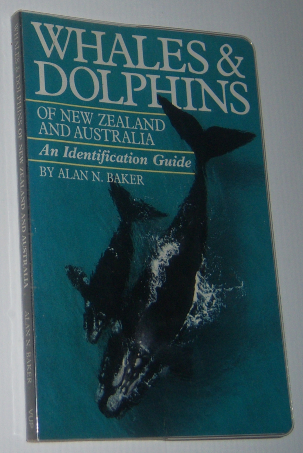Image for WHALES AND DOLPHINS OF NEW ZEALAND AND AUSTRALIA: An Identification Guide