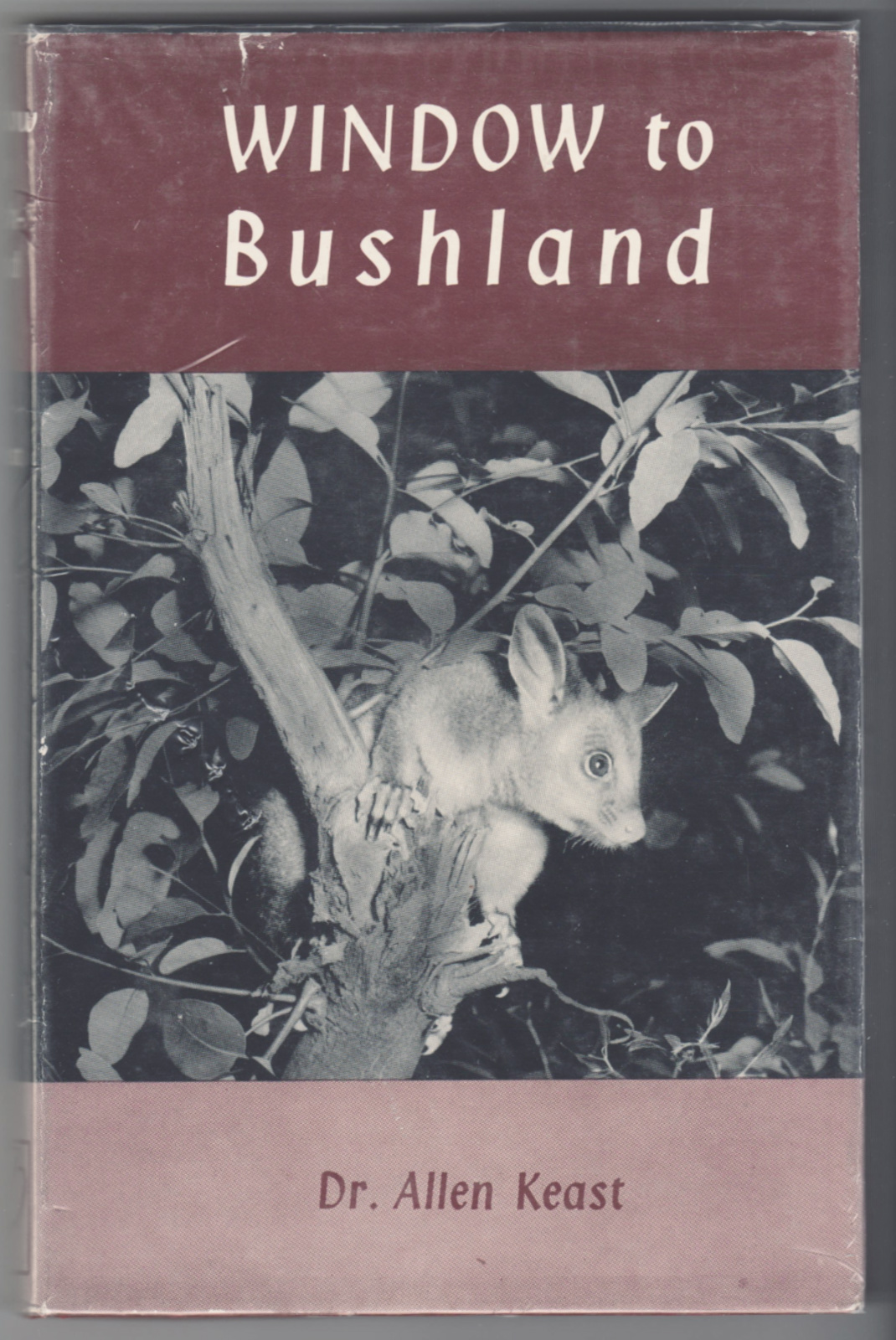 Image for WINDOW TO BUSHLAND