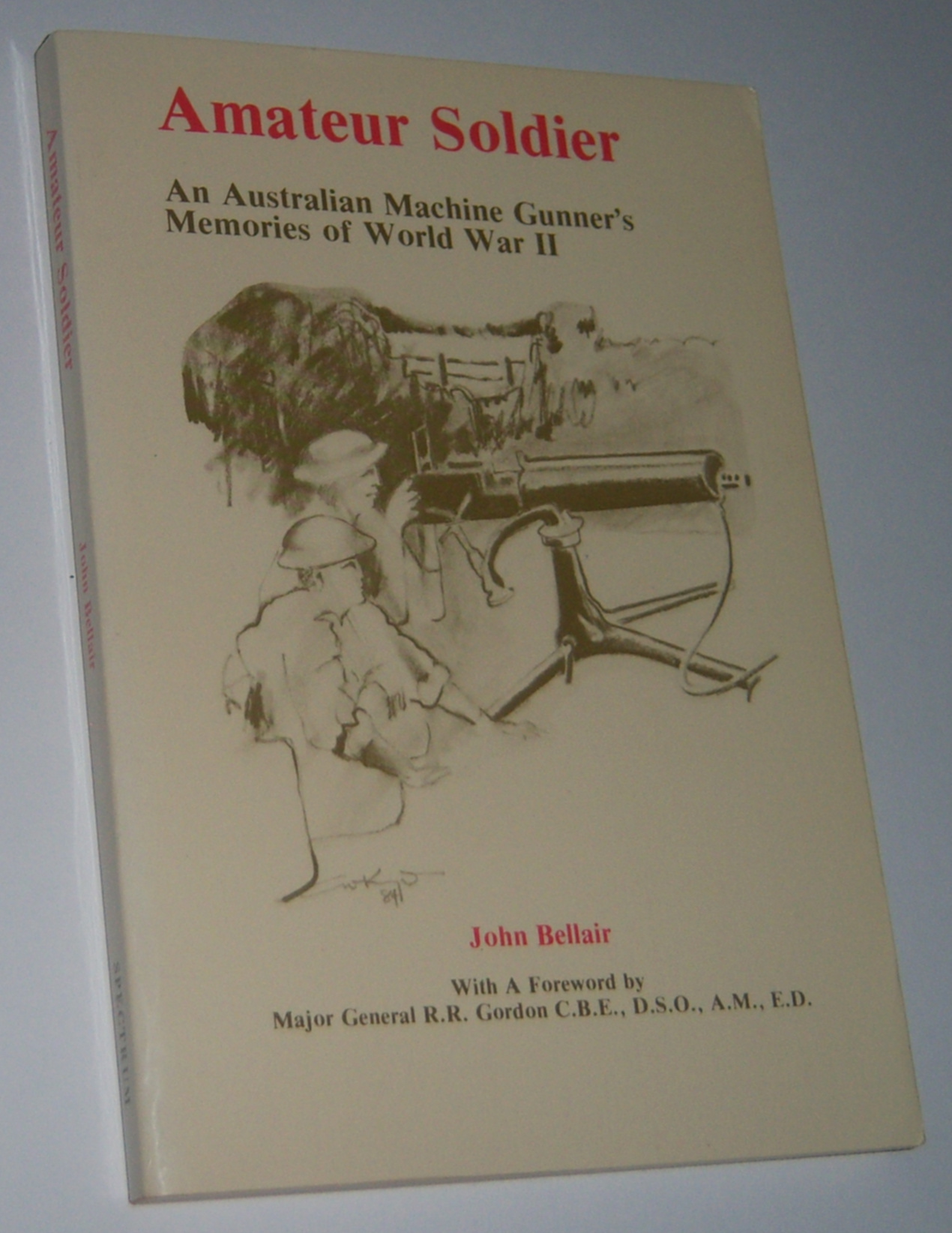 Image for AMATEUR SOLDIER : An Australian Machine Gunner`s Memories of World War II