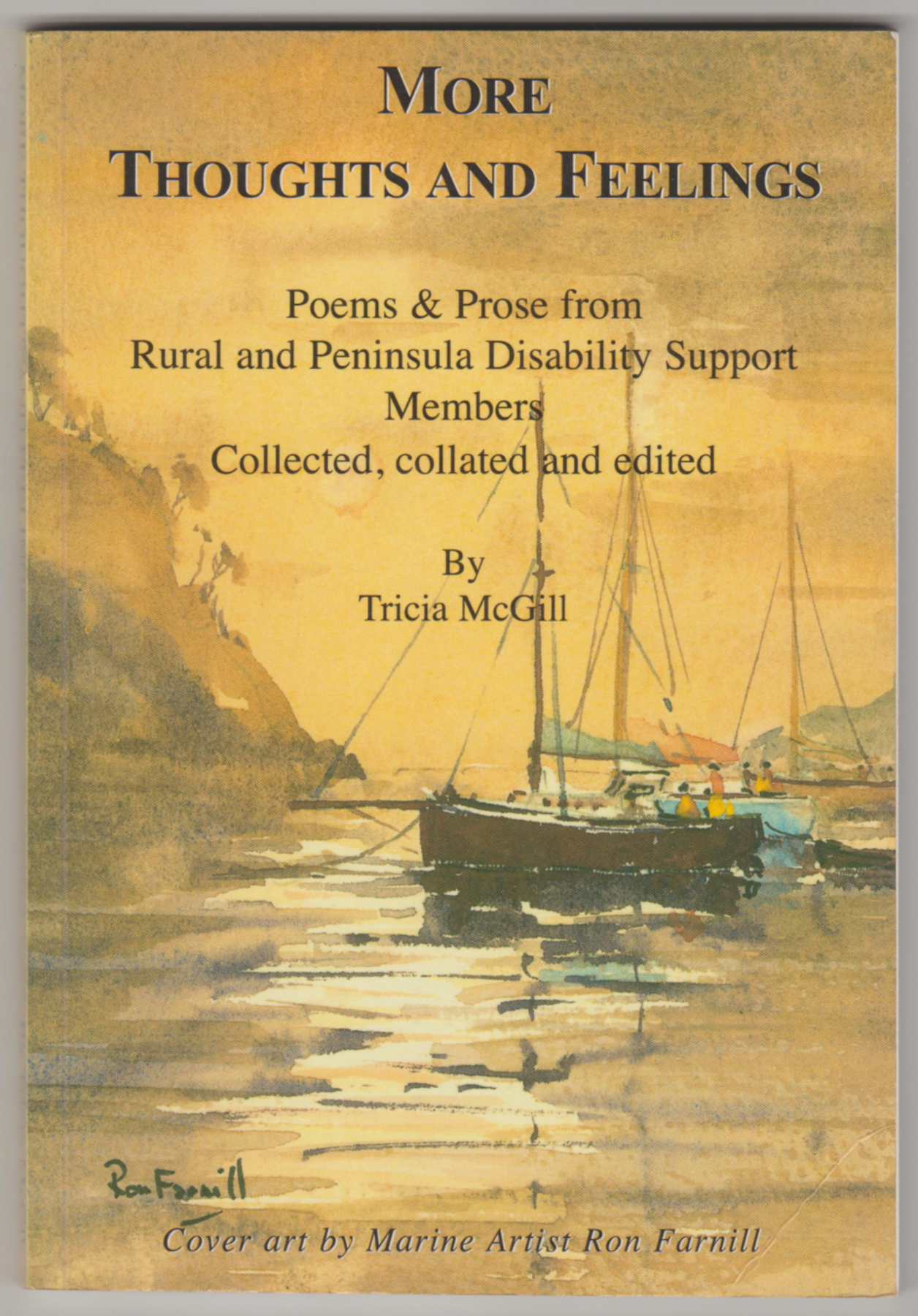 Image for MORE THOUGHTS AND FEELINGS: Poems and Prose from Rural and Peninsula Disability Support Members