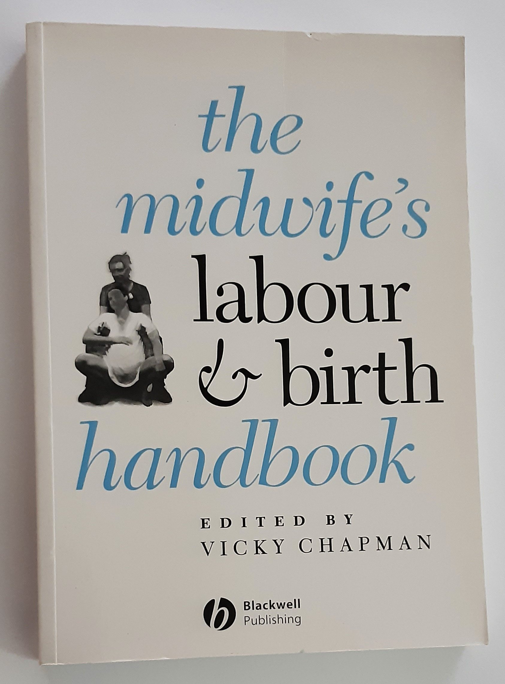 THE MIDWIFE'S LABOUR AND BIRTH HANDBOOK